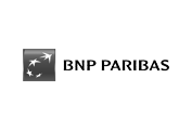 bnp logo 1